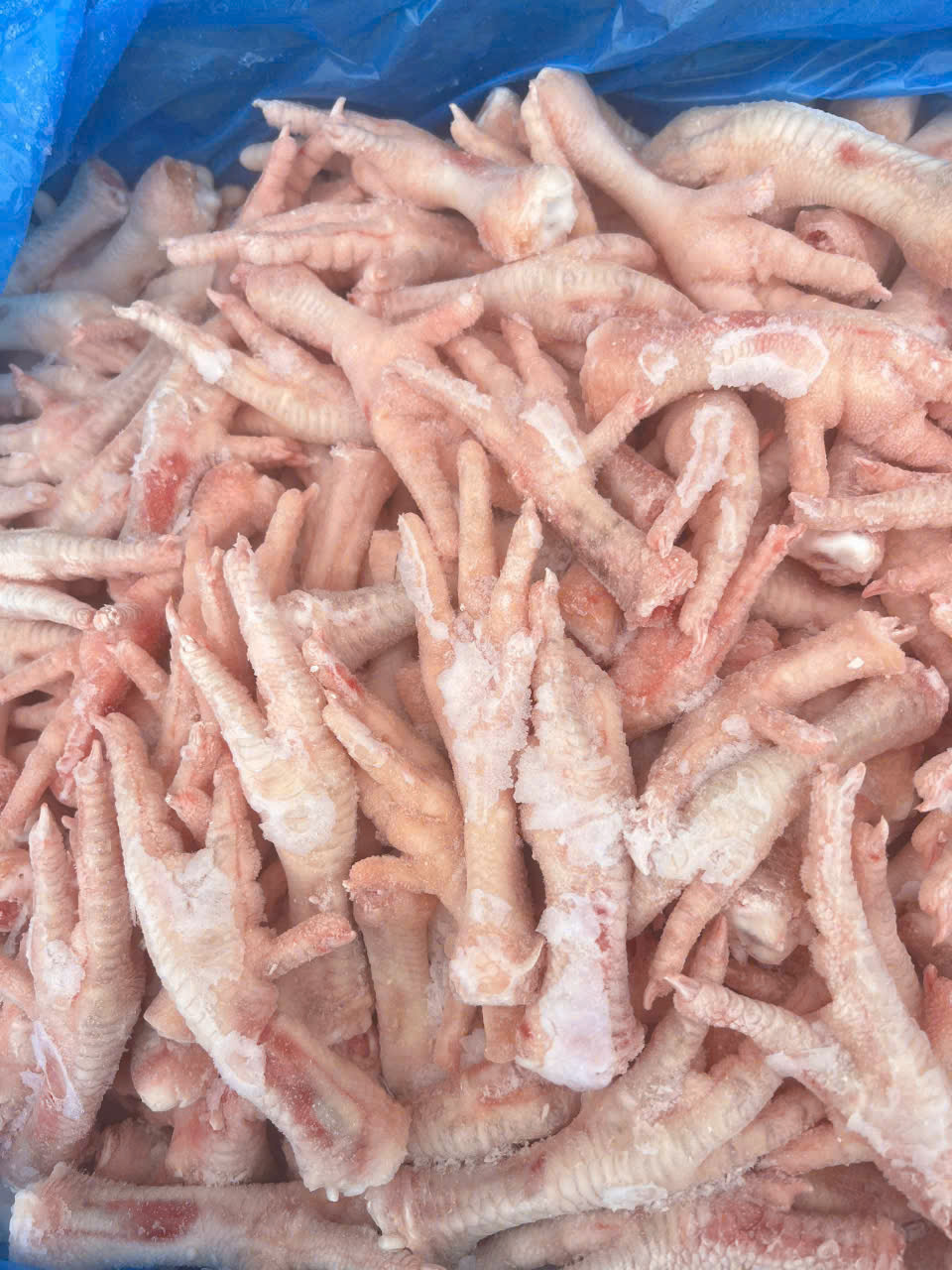 Chân gà đông lạnh đóng gói 1kg – Tiện cho chế biến